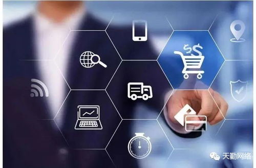 軟件開發(fā)實(shí)訓(xùn)中的關(guān)鍵技術(shù) 算法、結(jié)構(gòu)與生命周期